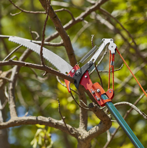 Rent the POLE SAW PRUNER 12